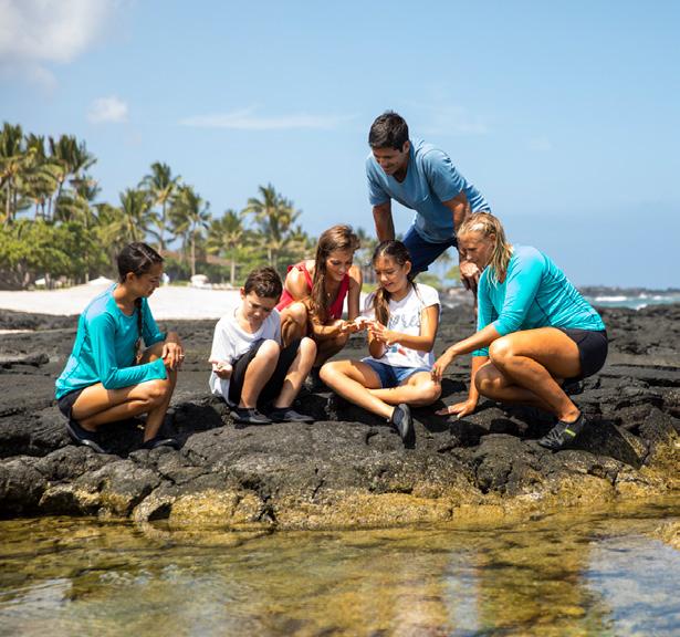 King s Pond Private Snorkel Tour Join a resort marine biologist at King s Pond for an enjoyable private snorkel lesson, followed by a fascinating guided tour of this spectacular natural aquarium.