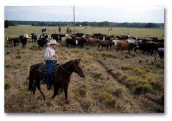 At the center of the family is their mother, Jeanette Barthle Sutton, author and past president of the National Cattlewomen s Association.