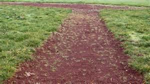 Background Typical ball fields suffer plenty of damage, especially in
