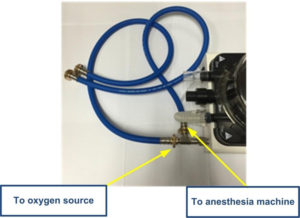 gas hose ( optional ), and the other two ports of tee are connected to anesthesia system and supply gas