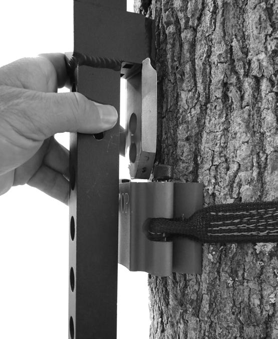 assembly as shown in Figure 21. Tighten the ratchet strap until the M-102S receiver is firmly attached to the tree trunk.