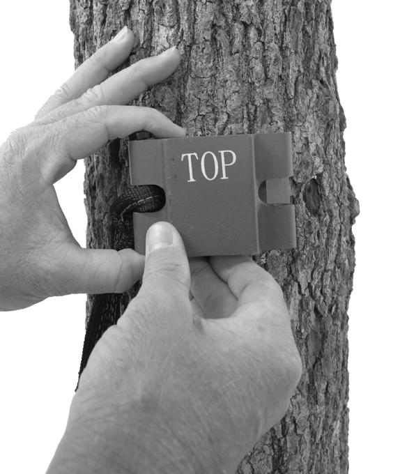 receiver s strap around the tree trunk, making certain the receiver is facing upwards, with the TOP legible as shown in Figure 19.