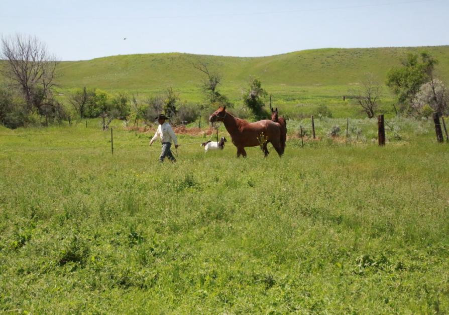 SUMMARY STATEMENT The Shoulder Blade Creek Ranch is situated near the banks of the Little Bighorn River in a sweeping vista of the great American Prairie.