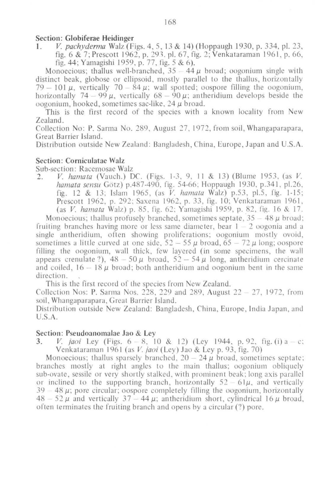 168 Section: Globiferae Heidinger 1. V, pachyderma Walz (Figs. 4, 5, 13 & 14) (Hoppaugh 1930, p. 334, pi. 23, fig. 6&7;Prescott 1962, p. 293. pi. 67, fig. 2; Venkataraman 1961, p. 66, fig.