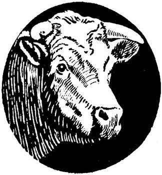 DEPARTMENT #201 JUNIOR BEEF CATTLE PREMIUMS 1 ST - $22, 2 ND - $19, 3 RD - $16, 4 TH - $14, 5 TH - $12, 6 TH - $9 (Unless otherwise noted) Mkt.