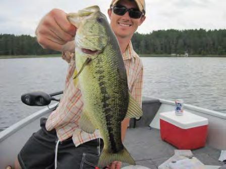 Largemouth bass density is increasing Slide by G.J.A.