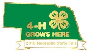 4-H EXHIBITOR NUMBERS Many 4-H ers will be exhibiting in more than one 4-H livestock animal show or shooting match at the Custer County Fair where an exhibitor number is required.