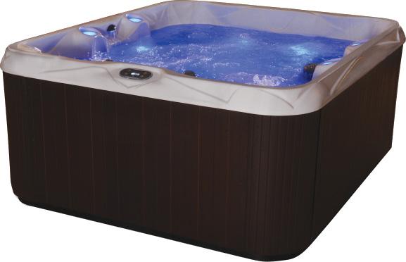 BUDGET When shopping for a spa, you should consider both the puchase price AND the ongoing operating costs THE RIGHT PRICE TODAY AND OVER THE LIFE OF THE SPA Manufacturers offer a wide selection of