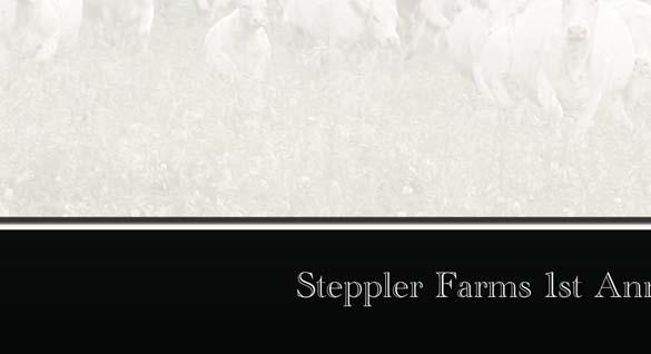 Steppler Cor ac 86Y 3rd Gen