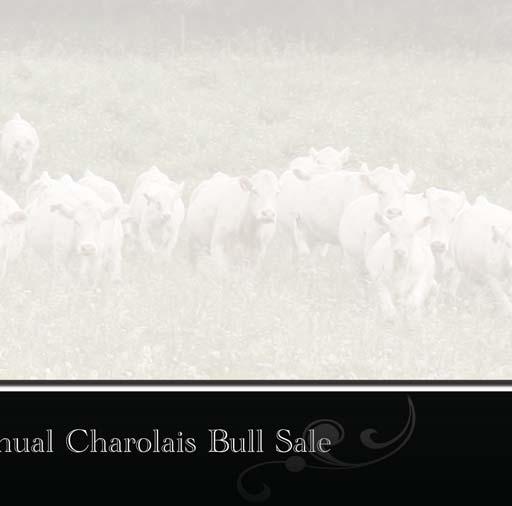 Certificate of Registration: Each animal will carry papers issued by the Canadian Charolais Association.