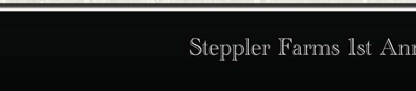 SVY FIRST DATE 506R(P) STEPPLER