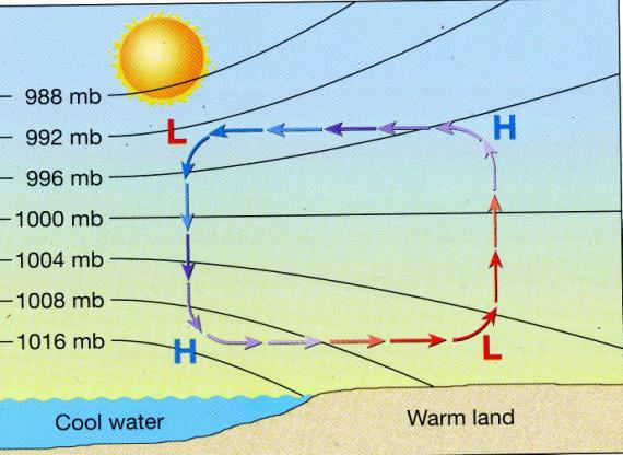 Which surface absorbs more solar radiation during the day? The Ocean does. a) The ocean absorbs more solar radiation during the day because it s darker.
