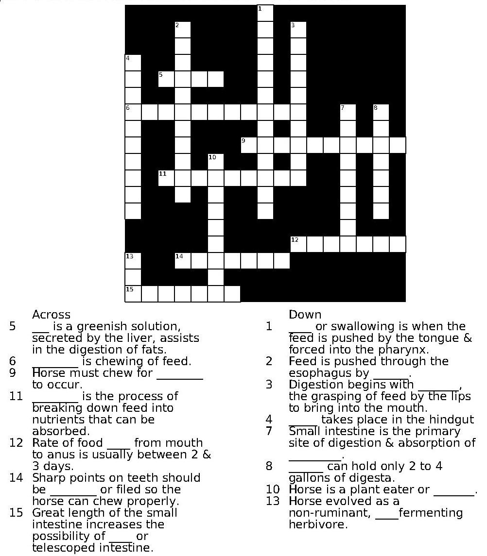 DIGESTIVE CROSSWORD PUZZLE - Horse Science Chapter 7, Anatomy & Function of the Digestive System Word Bank Bile Deglutition