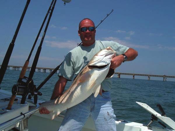 David Gaither with a very nice red drum. 47 INCHES. It was tagged and released. Nice going David. Surf fishing continues to look better after the bad conditions over the weekend.