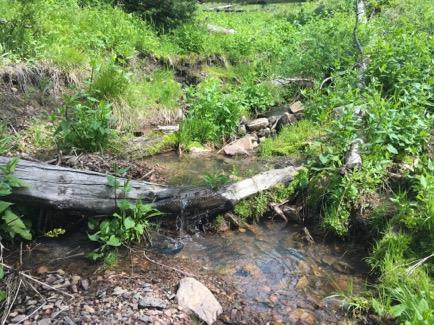 There are four springs on the property as well that could be used for water and the headwaters of Marcella Creek runs along the property line of the property.