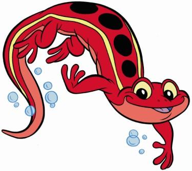 Maximum of 5 students/class What do Salamanders learn? Get ready to jump right in!