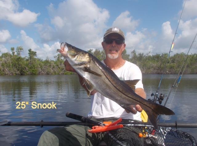 These bodies of fresh water have a good population of Snook, Tarpon and Mayan Cichlids but also contain numerous alligators.