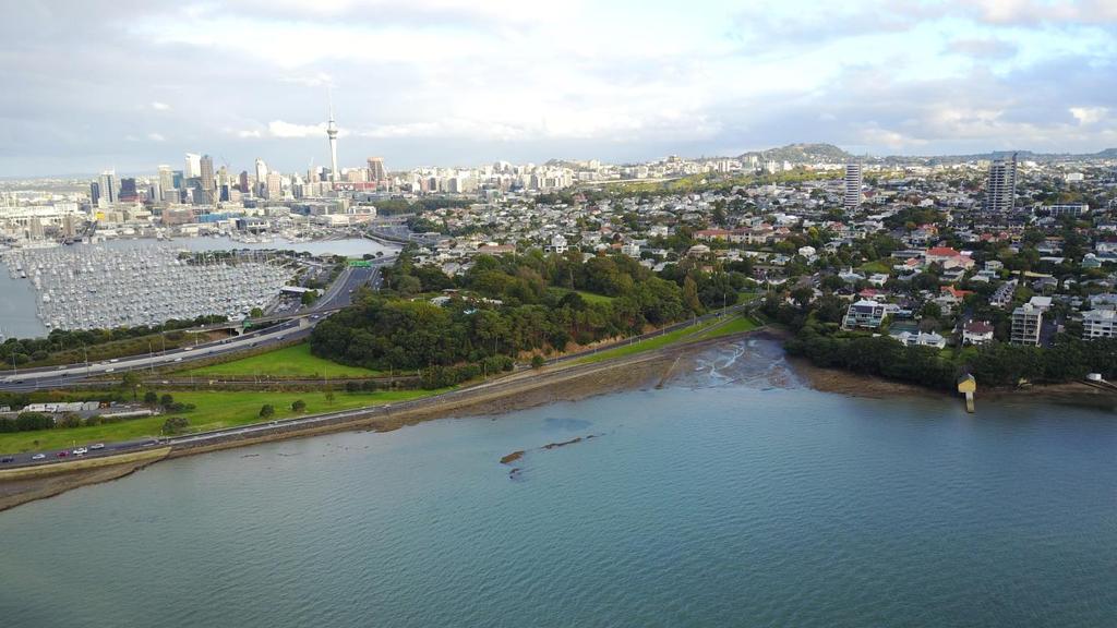 Another area of degraded water quality is Masefield Beach, and the waterfront area on Curran Street at Harbour Bridge Park. Harbour Bridge Park is a project identified in the Westhaven Plan.