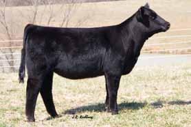 T-T/TF4 Liberty D60 $4,750 FBF1/SF Ignition x THSF Ms.