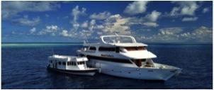 and snorkeling sites and for visiting the islands Accommodating a maximum of 16 divers, luxury guest rooms are equipped with ensuite bathrooms, hot and cold showers and