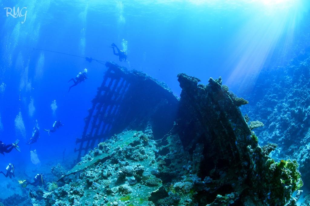 Red Sea Liveaboard What will you be diving?