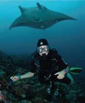 Working with eco-minded tourism operators, these liveaboard dive and snorkel trips focus specifically on getting our guests in close proximity to manta rays, whale sharks and other wish list marine