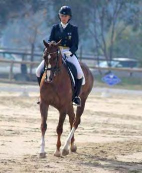 Breakaway safety stirrups are required if the rider s feet are secured into the stirrups and shoes with distinguishable heels must be worn.