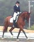 horses: Short riding coat of conservative color, with stock or tie.