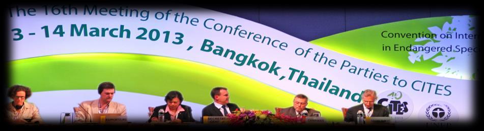 It is a privilege to be accepted back as the leader of the Sea Save Foundation (SSF) delegation to CITES conference 2016. We first attended this critical meeting in Bangkok, Thailand, March 2013.