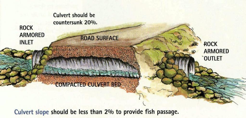 CULVERT INSTALLATION Consider dewatering stream-crossing sites during culvert installation where practical. Use erosion fabric to reduce sedimentation.