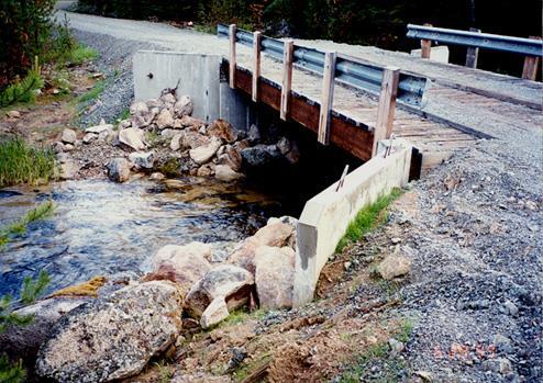 BRIDGE CROSSINGS Bridges are best for large stream and those plagued with floatable debris or ice jam problems. Bridges have the least impact on fish.