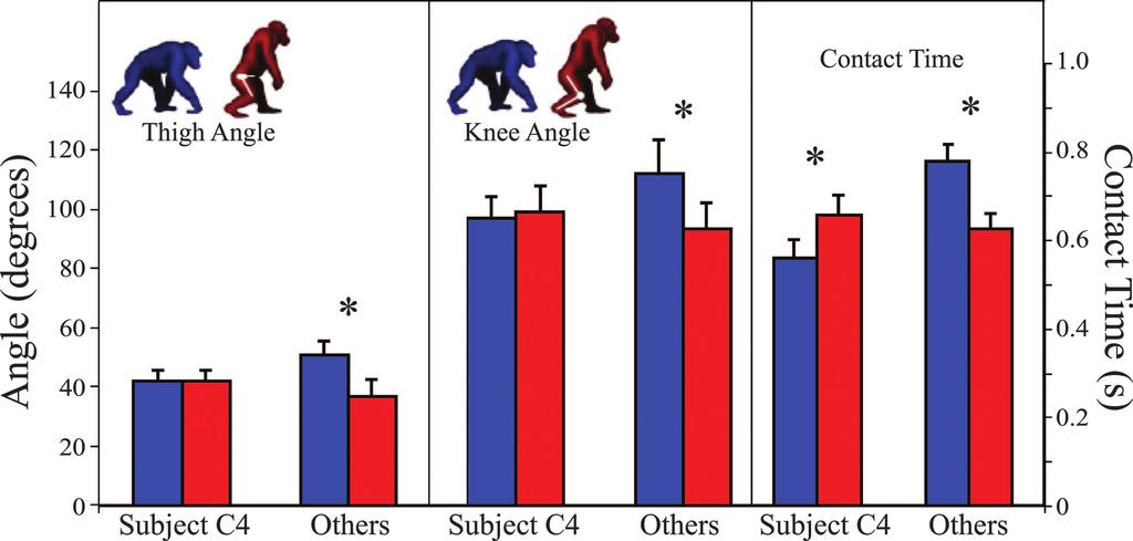 Fig. 4. Comparison of thigh angle, knee flexion, and t c for C4 versus other chimpanzees (n 4). Thigh angles is measured as the angle between the thigh segment and the horizontal (e.g., thigh angle is 90 when the thigh is perpendicular to the ground).