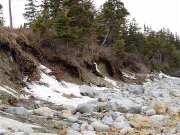 B. Prevents erosion Coastal Erosion near