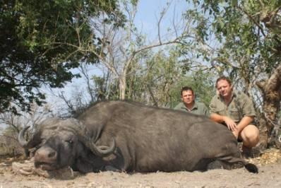 hunt, including a buffalo bull trophy US$ 18 900