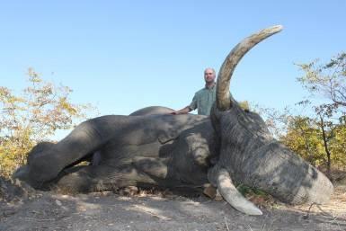 Trophy Elephant hunt package: (3 cancellation