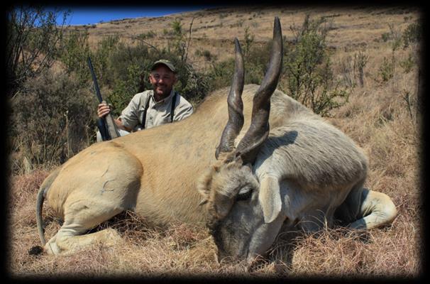 Kirk was privileged to use his brand new rifle, a.300 Winchester Magnum for this trip that he had specially built at Ray Lawler of Absolute Accuracy in Kansas City.