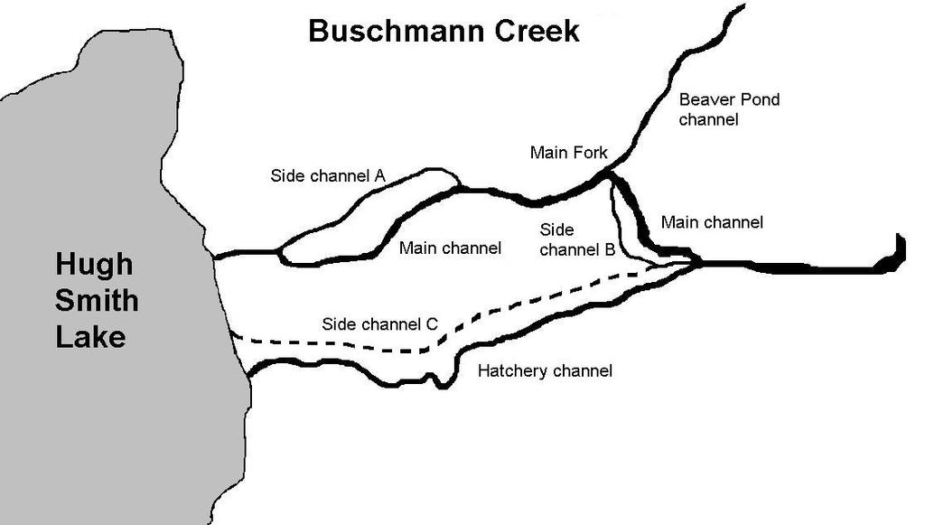 Figure 3. Schematic diagram of the main channels of lower Buschmann Creek, as of September, 2013.