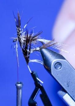 Page 4 Fly of the Month - Soft Hackle Fly The Fly Line by Tom Bullock At the NLFF s Fly Tying Session a t Bass Pro, Tom Bullock demonstrated how to tie