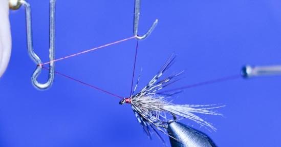 The remainder of the wet fly, or soft hackled Fly, was tied per the teaching of James Leisenring (1878-1951).