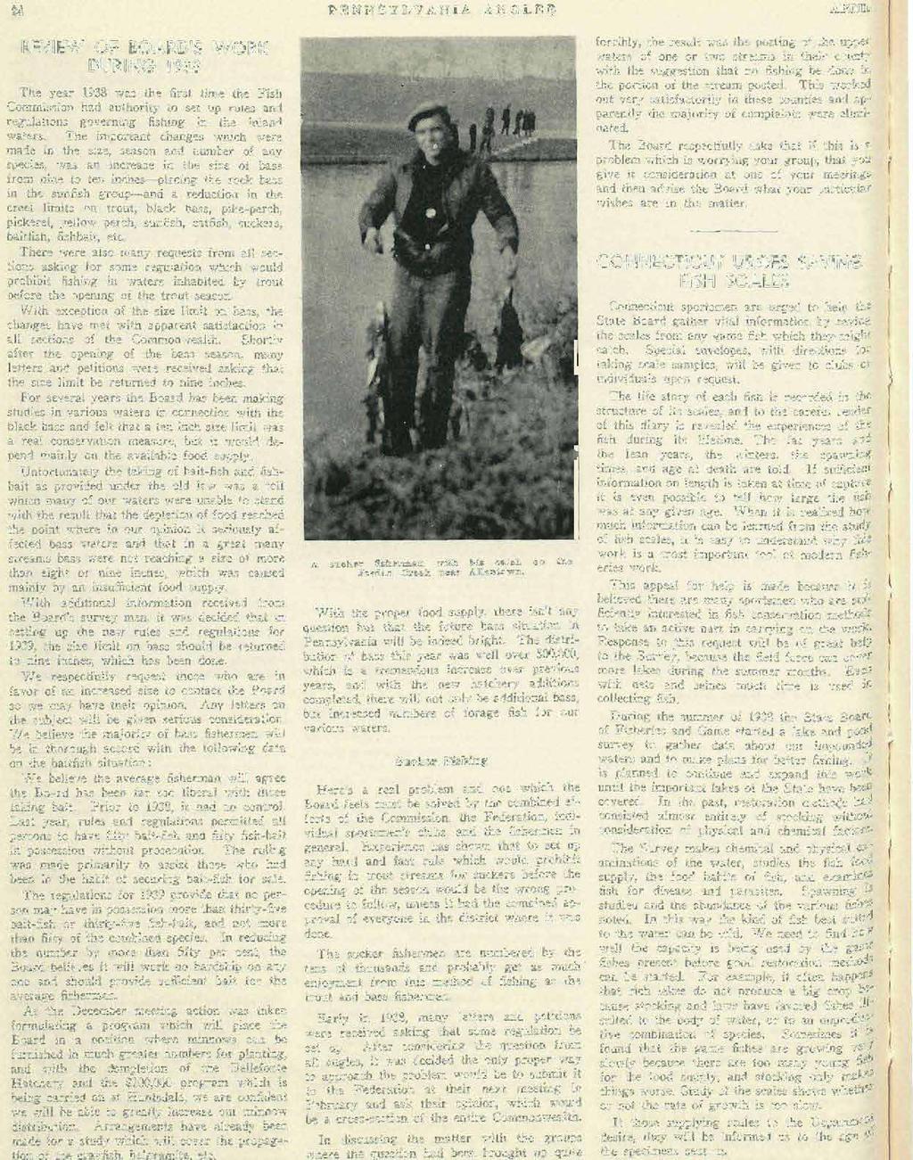 Z4 PENNSYLVANIA ANGLER APRIL REVIEW OF BOARD'S WORK DURING 1938 The year 1938 was the first time the Fish Commission had authority to set up rules and regulations governing fishing in the inland