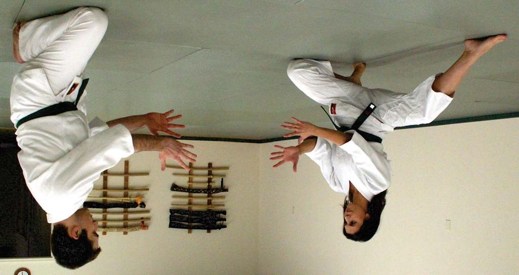 4 It may be counter-intuitive, but the strictures of kata are ultimately liberating.