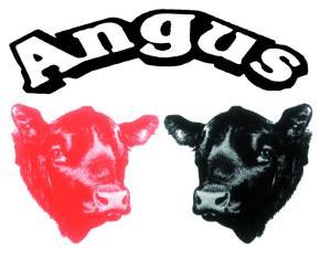 SCHEDULE C Standard of Excellence (Revised 2013 04 24) Black & Red Angus bull Registered Pedigree Requirements COLOUR POINT 1-9 Red or black.