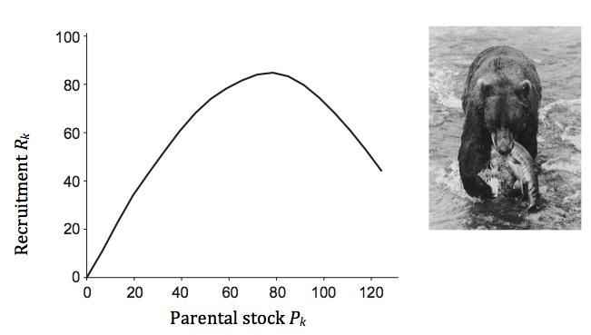 Figure 3.4: The stock-recruitment relationship for grizzly bears in the Yellowstone Park. so that a minimal recruitment of 35 adult bears is guaranteed.