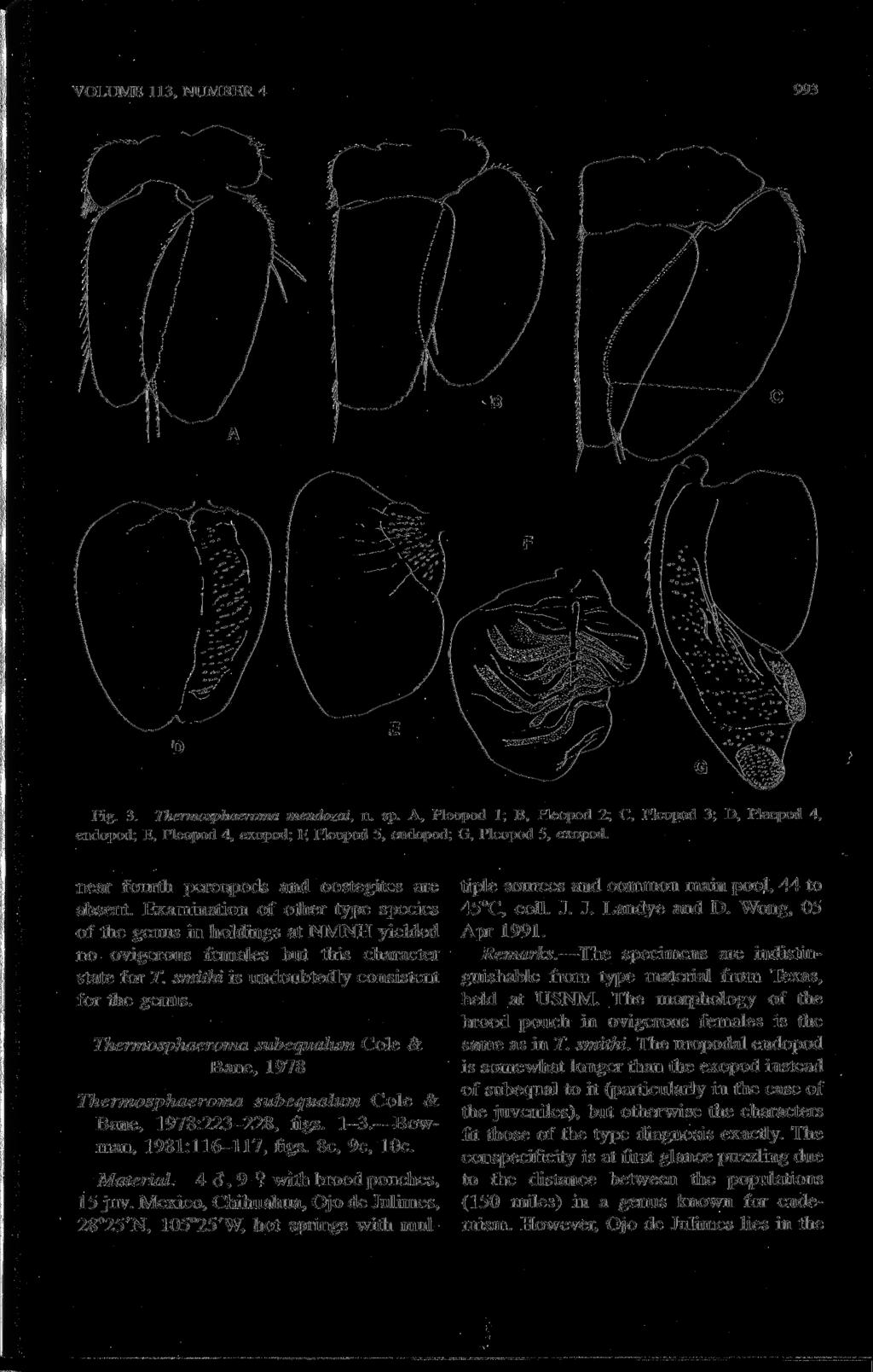 VOLUME 113, NUMBER 4 993 Fig. 3. Thermosphaeroma mendozai, n. sp. A, Pleopod 1; B, Pleopod 2; C, Pleopod 3; D, Pleopod 4, endopod; E, Pleopod 4, exopod; F, Pleopod 5, endopod; G, Pleopod 5, exopod.
