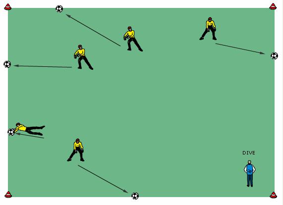 Falling and diving sideways Mark out a 10 x 10 area. GK s stand inside the field, without balls. Place one ball on the sidelines for each GK. GK s move freely among themselves in the field.