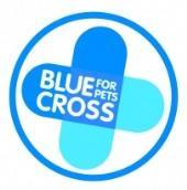 this. *** SPECIAL *** Blue Cross Equine Welfare Awarded to Members who have attained 10