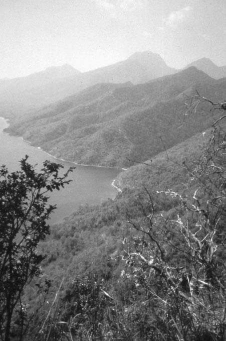 Lake and forest 9 Fig. 1.2 Mahale Mountains viewed from the south. creating an enchanting scene. After the smooth rolling of the hills ceases, you see steep mountains.