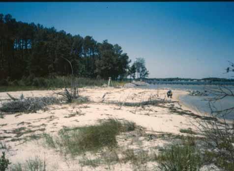- LN 7 May 99 LANCASTER COUNTY DUNE SITE 7 - -. Date Surveyed: May 999. Central Coordinates:.