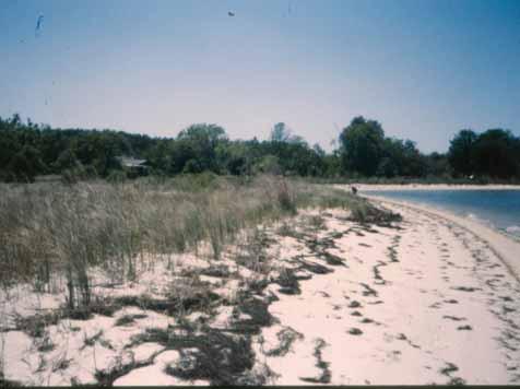 - - Secondary Dune Crest LANCASTER COUNTY DUNE SITE 7 - -6-5 - - - - 5 LN 7 May 99. Date Surveyed: May 999. Central Coordinates:.