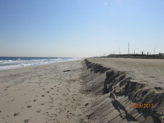 NJBPN 184 Highlands Beach, Sandy Hook National Seashore This southern Sandy Hook site is located